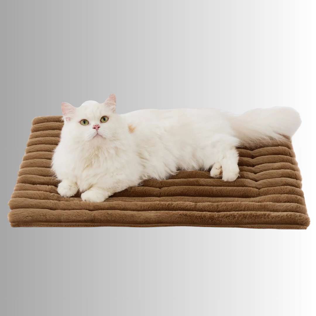 CozyPaw™️ | Den selvopvarmende måtte, der får dit kæledyr til at slappe dejligt af