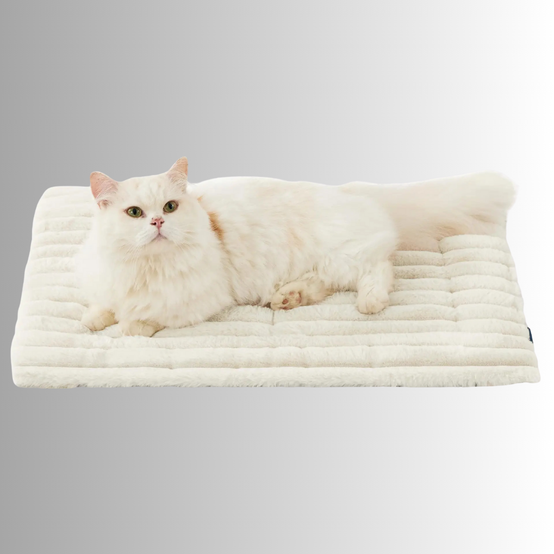 CozyPaw™️ | Den selvopvarmende måtte, der får dit kæledyr til at slappe dejligt af