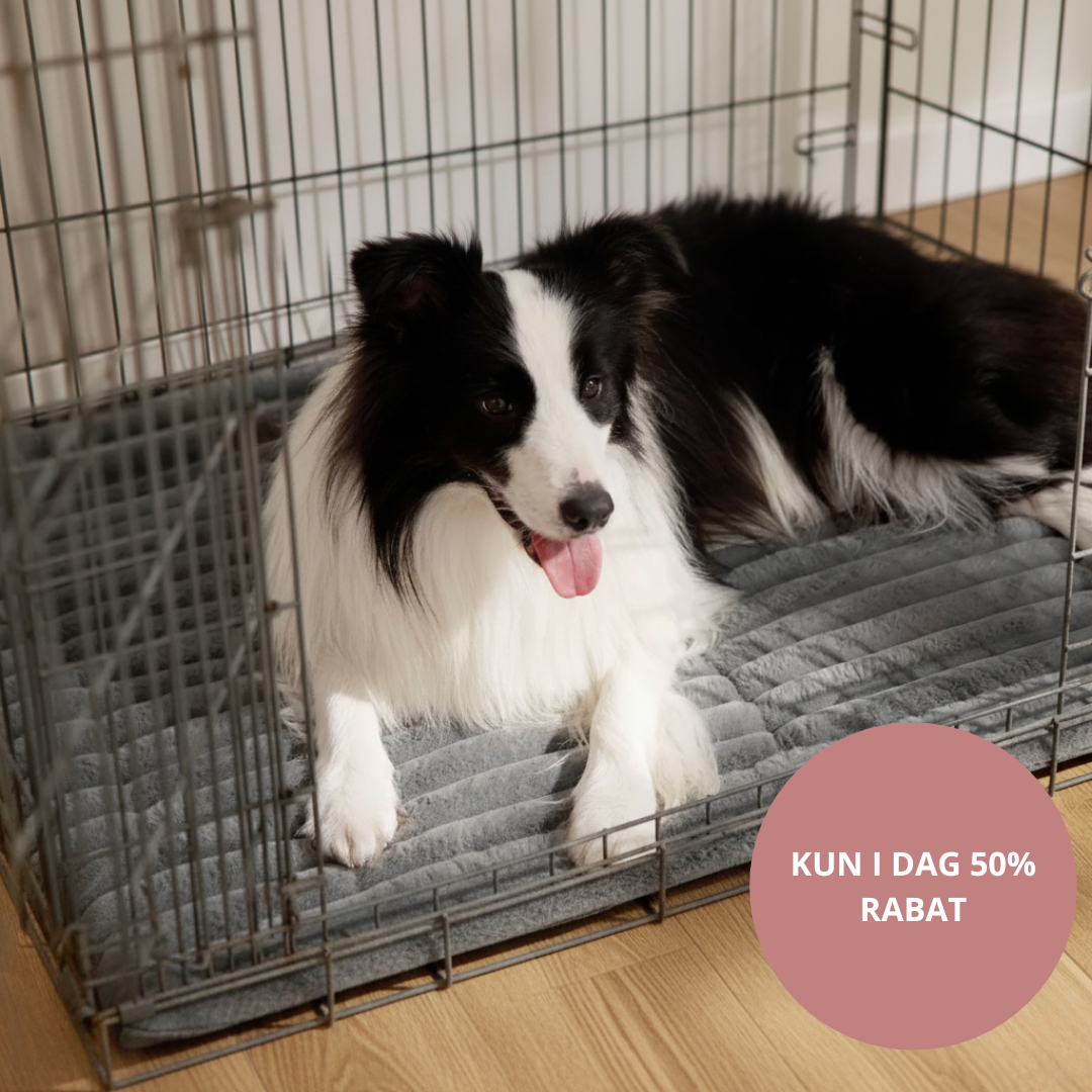 CozyPaw™️ | Den selvopvarmende måtte, der får dit kæledyr til at slappe dejligt af